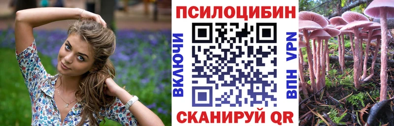 купить наркотик  Володарск  Псилоцибиновые грибы Magic Shrooms 